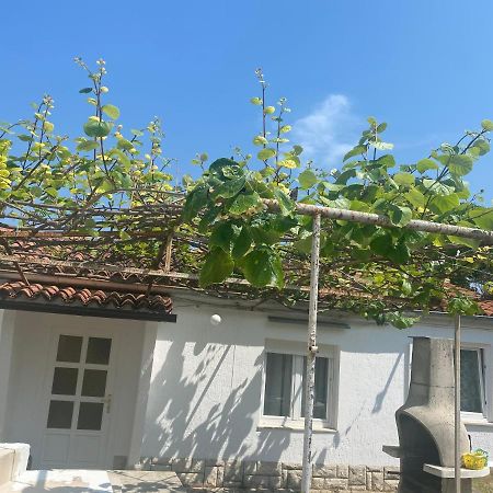 Apartmán Apartman Nela Poreč Exteriér fotografie